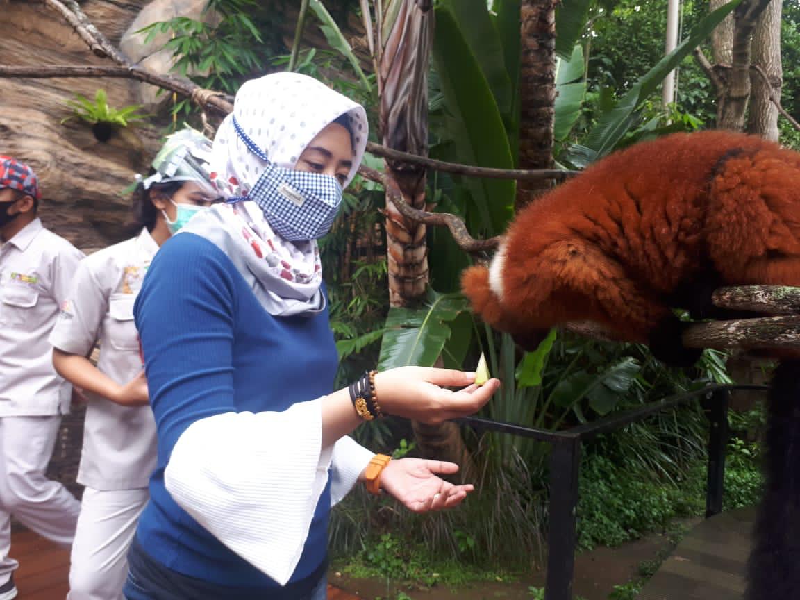 Salah satu spesies Lemur yang ada di Jatim Park 2 atau Batu Secret Zoo (Foto: istimewa)