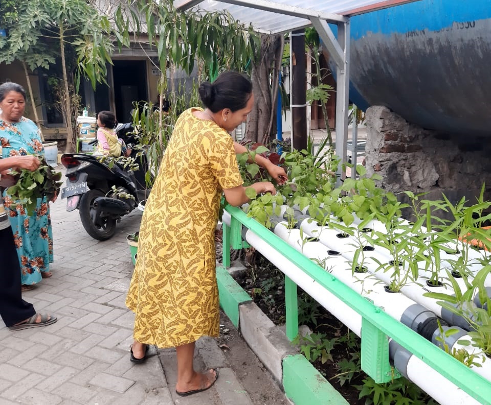 Warga Keputih saat menerapkan metode hidroponik terbaru. (Foto: istimewa)