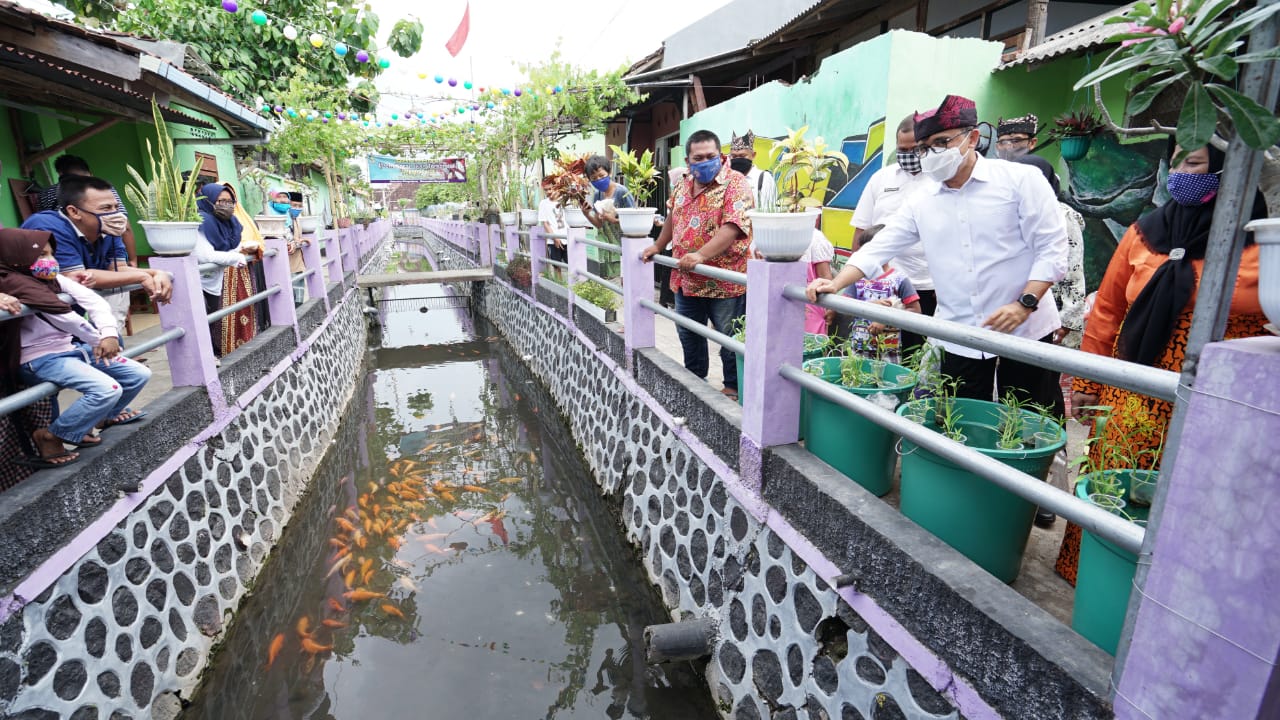 Bupati Banyuwangi Abdullah Azwar Anas melihat ratusan ikan warna warni di sekitar Kali Seng (foto:istimewa)