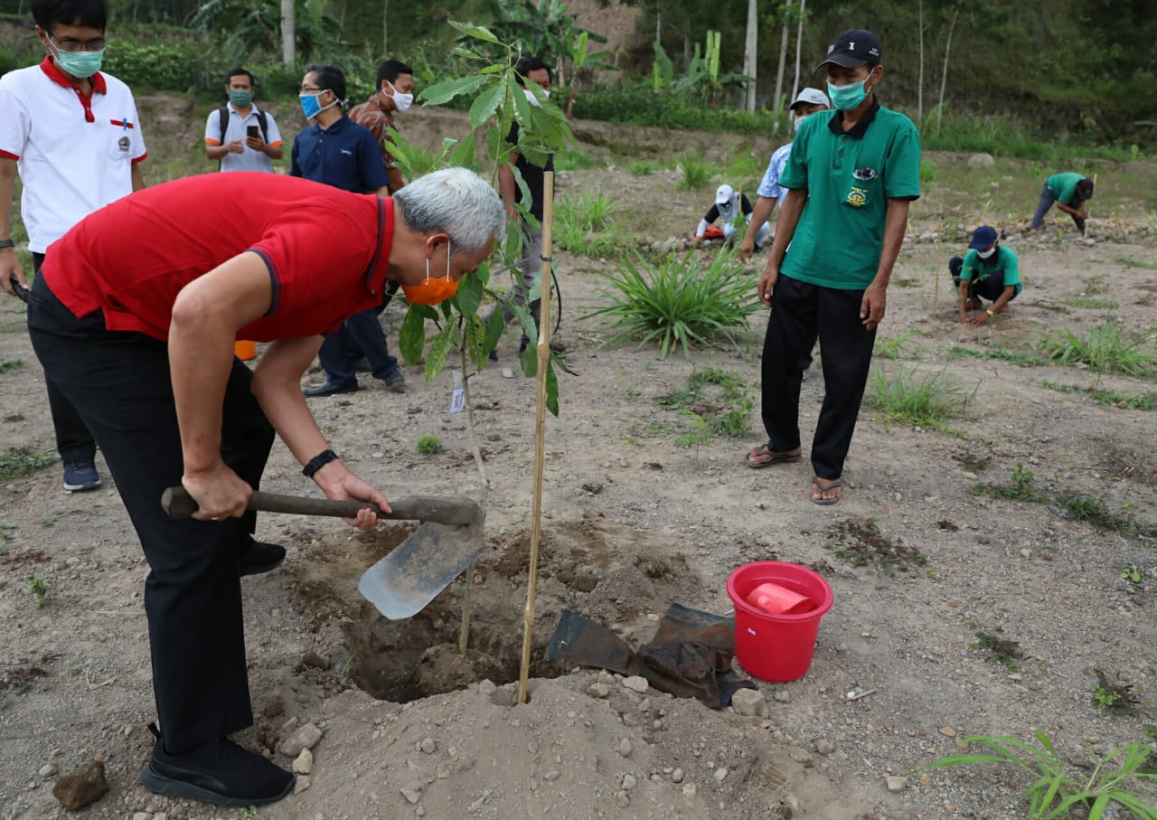 Gubernur Jawa Tengah Ganjar Pranowo dalam acara tanam pohon bersama di bekas galian pasir Desa Kendalsari Kecamatan Kemalang Kabupaten Klaten, Rabu 11 November 2020. (Foto: Dok. Pemprov Jateng)