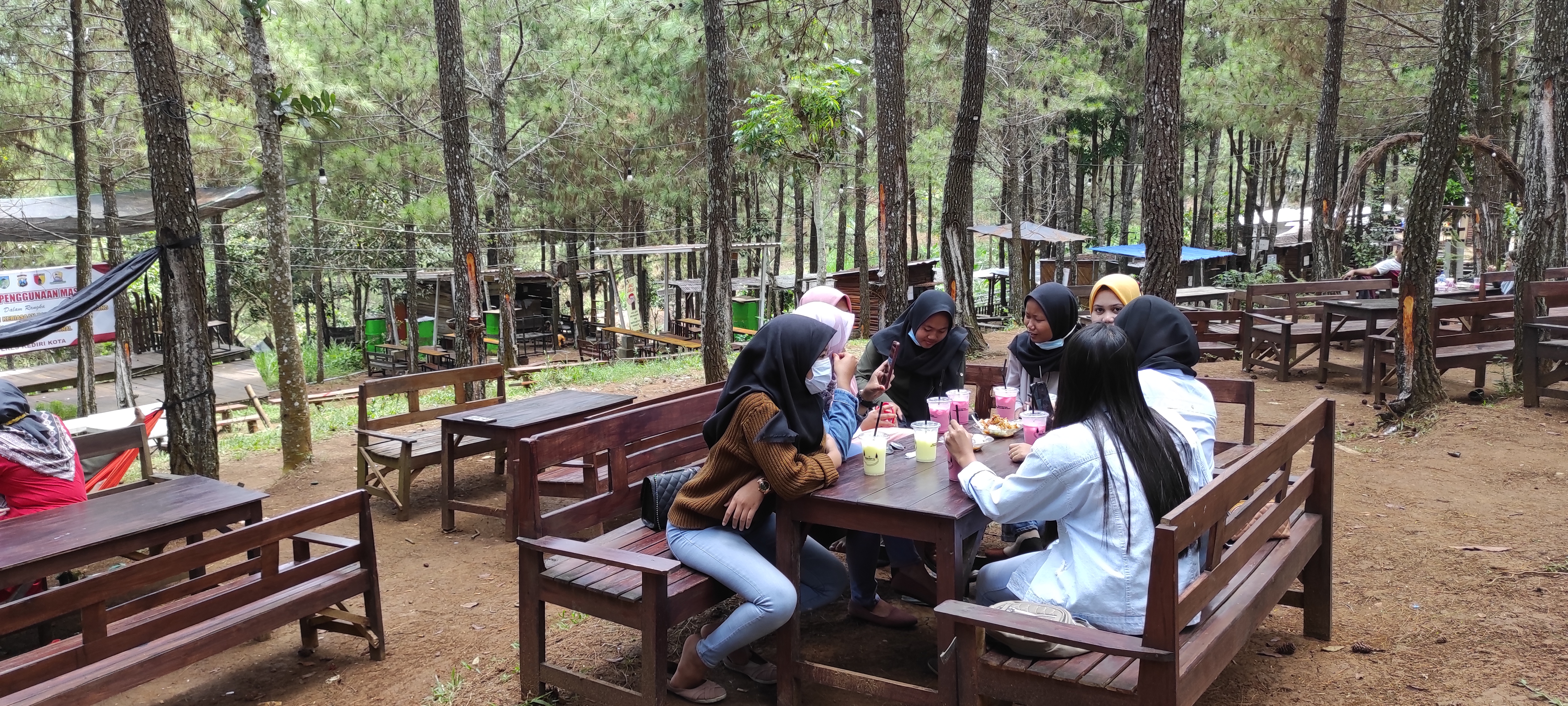 Santai di Kedai 66 menawarkan view pesona alam hutan Pinus. (Foto: Fendhy Plesmana/Ngopibareng.id)