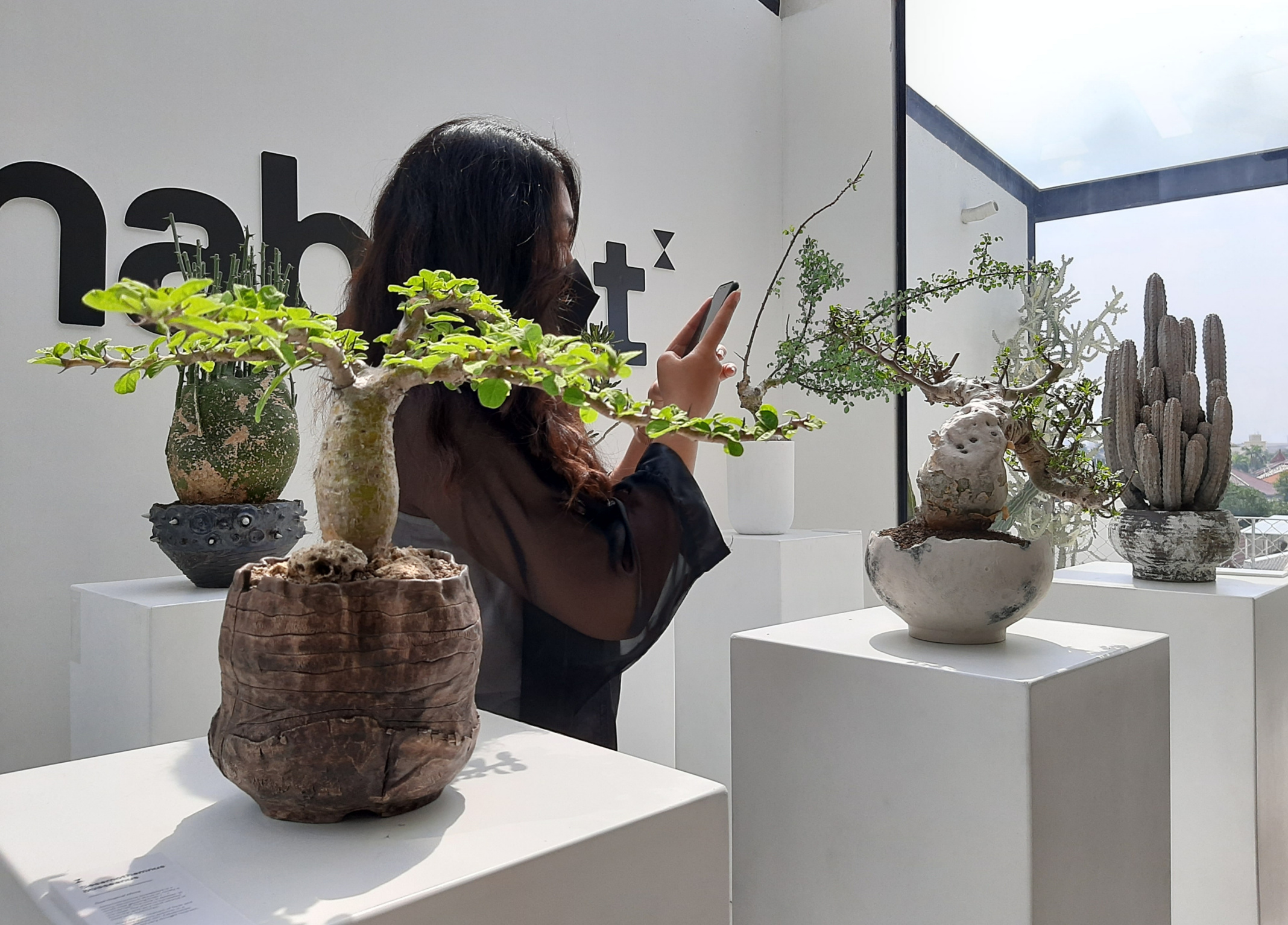 Pameran Inhabitat yang mengabungkan tanaman dengan pot keramik estetik. (Foto: Pita/Ngopibareng.id)