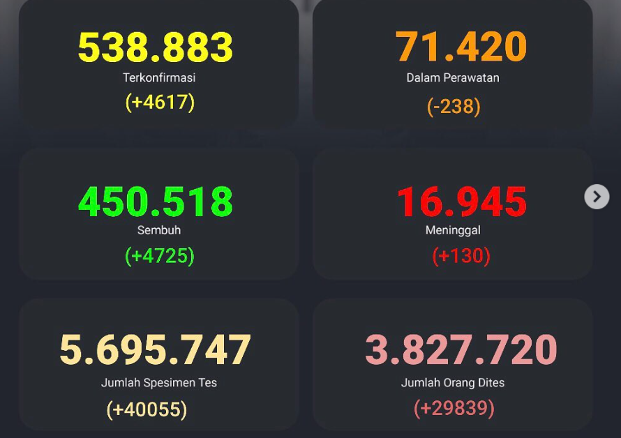 Update Covid-19 di Indonesia per Senin, 30 November 2020. (Kawal Covid-19)