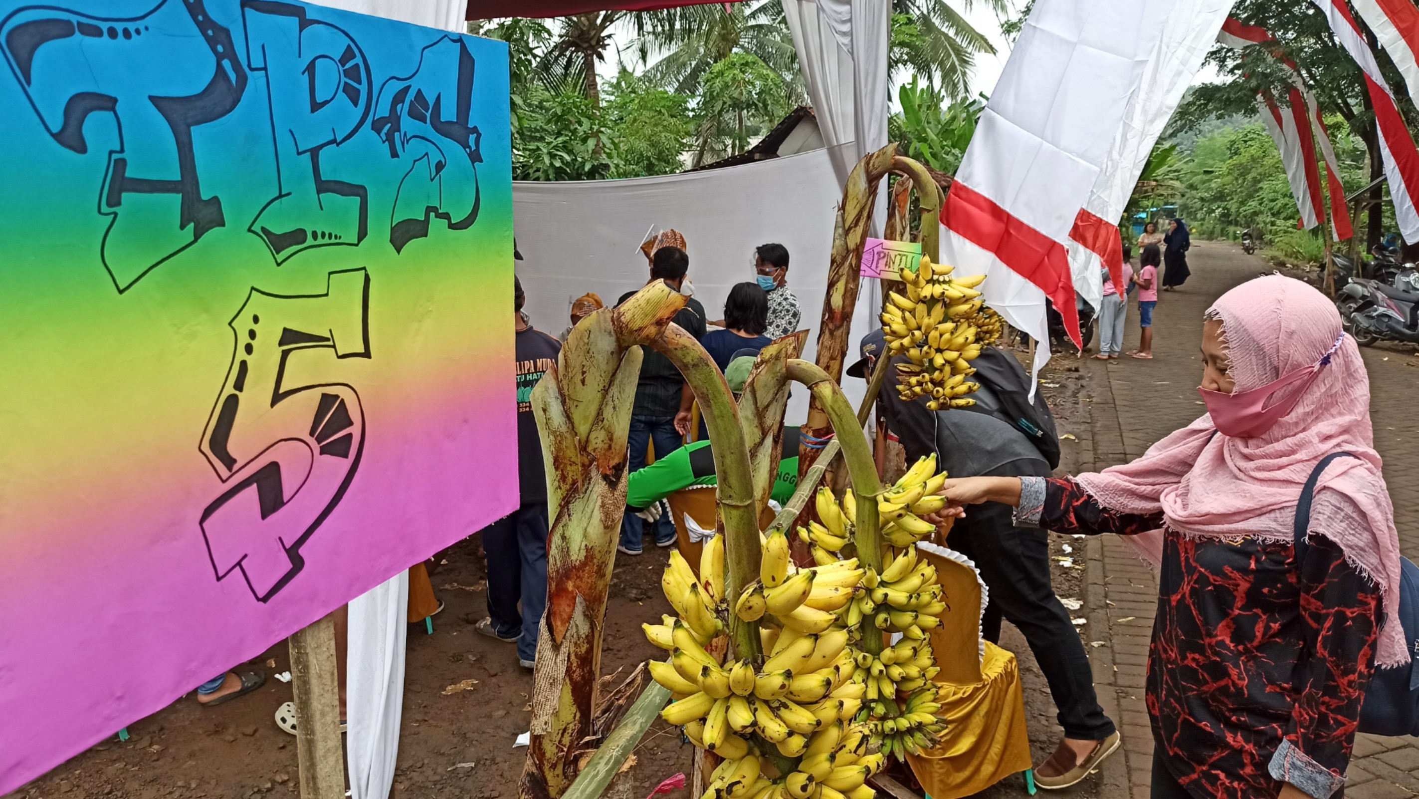 Salah seorang pemilih mengambil pisang yang ditempatkan di sekitar TPS 05, Desa Gumuk, Kecamatan Licin, Banyuwangi. (Foto: Muh Hujaini/Ngopibareng.id)