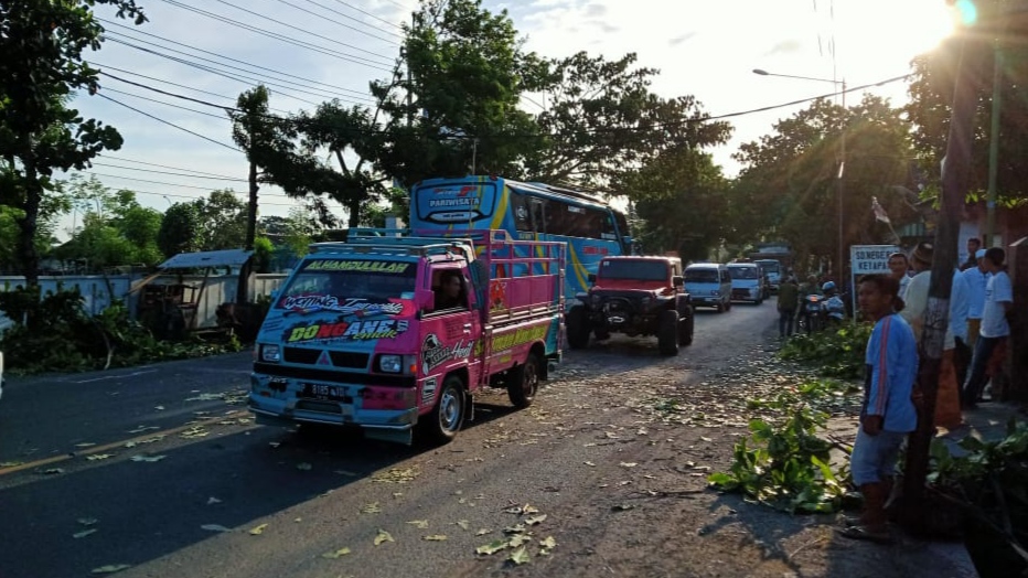 Lokasi pohon tumbang yang menewaskan ibu dan anak (Foto: Istimewa)