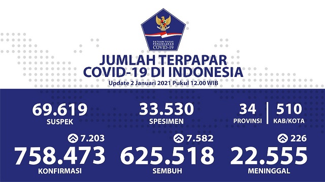 Data terbaru kasus pandemi corona atau Covid-19. (Grafis: Twitter @BNPB_Indonesia)