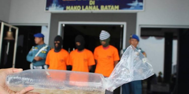 Selama tahun 2020, ada 21 kasus penyelundupan yang ditangani BKIPM. (Foto: Istimewa)