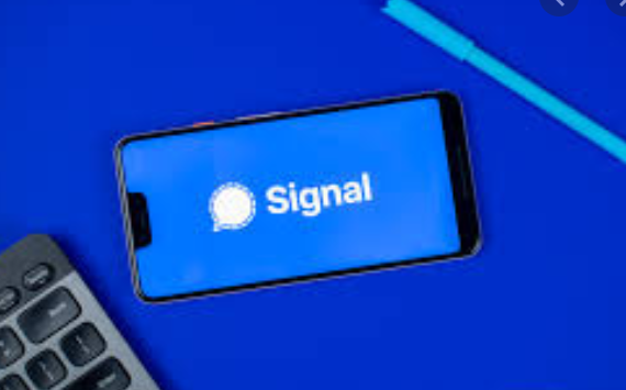 Aplikasi Signal down setelah kebanjiran pengguna baru. (Foto:techbal) 