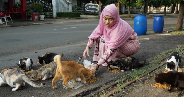 Kasih sayang sesama makhluk Allah Ta'ala. Bukti bahwa Allah menyediakan rezeki bagi setiap makhluk-Nya. (Foto: Istimewa)