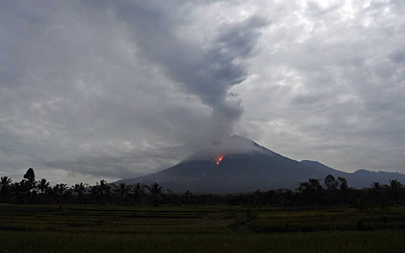 Ilustrasi Gunung Semeru. (Foto: Istimewa)