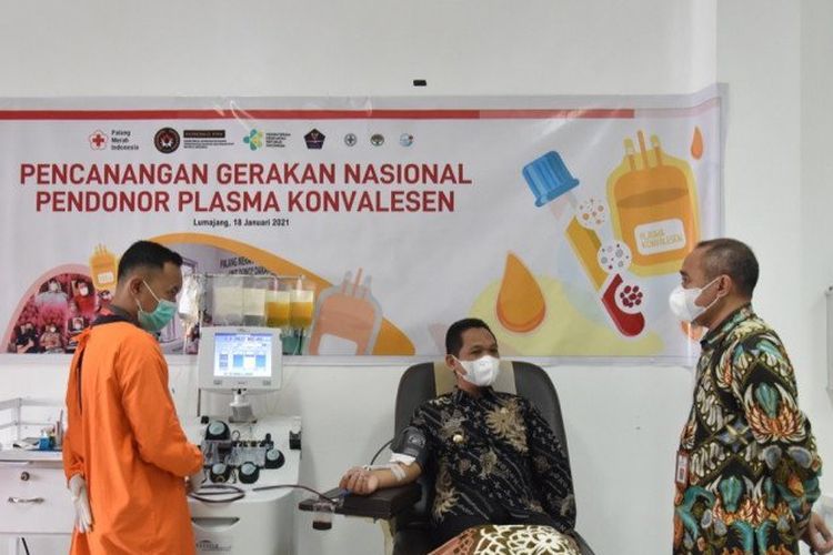 Cak Thoriq mendonorkan plasma darahnya ke PMI Lumajang. (Foto: Ant)