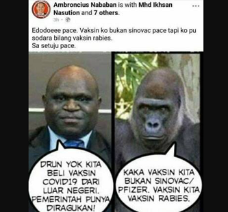 Ambroncius Nababan menyandingkan foto Natalius Pigai dengan gorila. (Foto: Facebook)