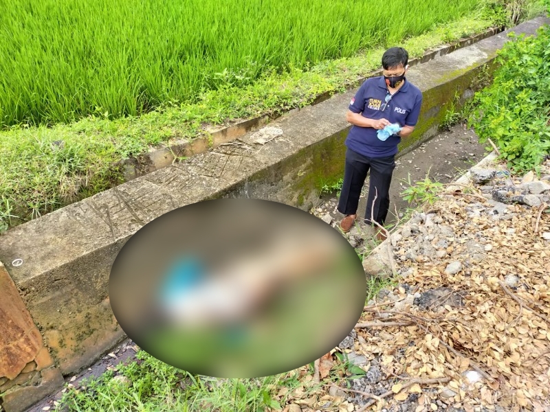 Korban ditemukan dalam kondisi tak bernyawa di area persawahan Purwoasri, Kabupaten Kediri. (Foto: Istimewa)