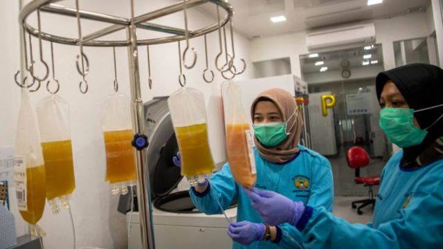 Vaksin dan donor darah plasma konvalesen di masa pandemi Covid-19. (Foto: bbc)