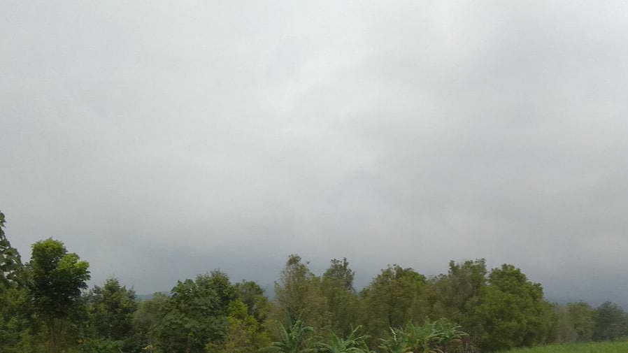 Visual Gunung Raung Selasa 2 Februari 2021 siang tertutup kabut. (Foto: Istimewa)