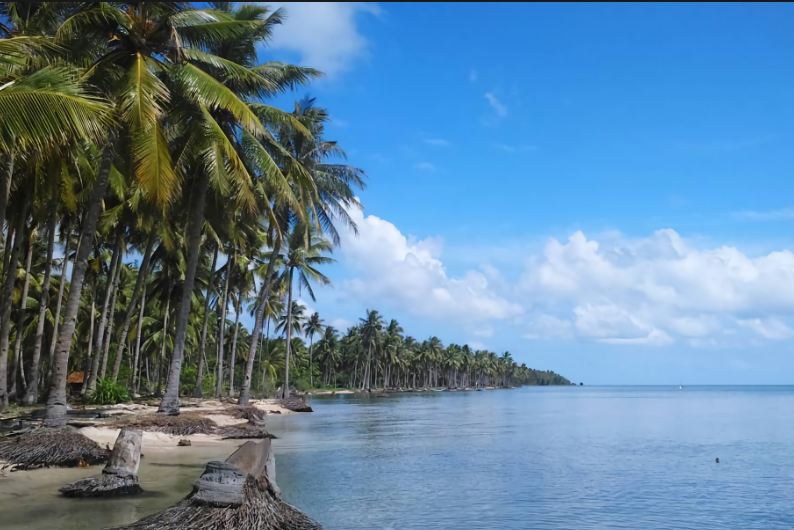 Pesisir pantai di Kangean, Sumenep, Madura. (Foto: Good news from Indonesia))