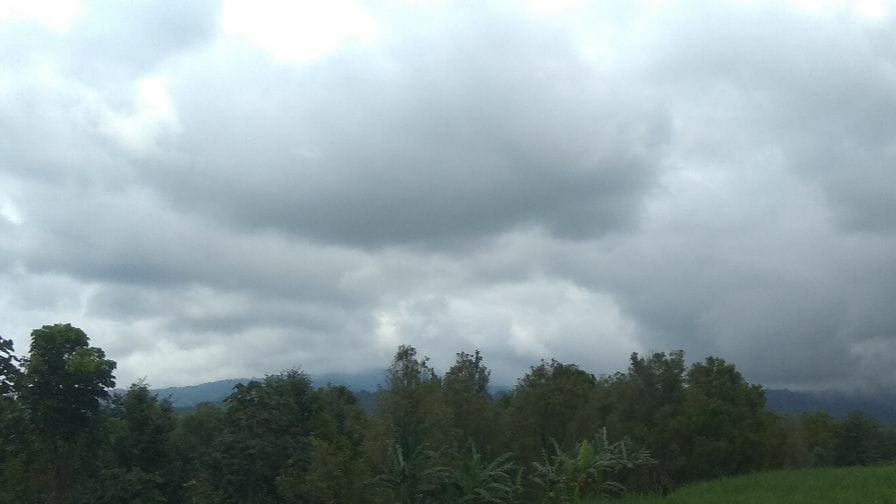 Gunung Raung hari ini tertutup kabut. Sehingga tidak bisa dilakukan pengamatan secara visual. (Foto: Istimewa)