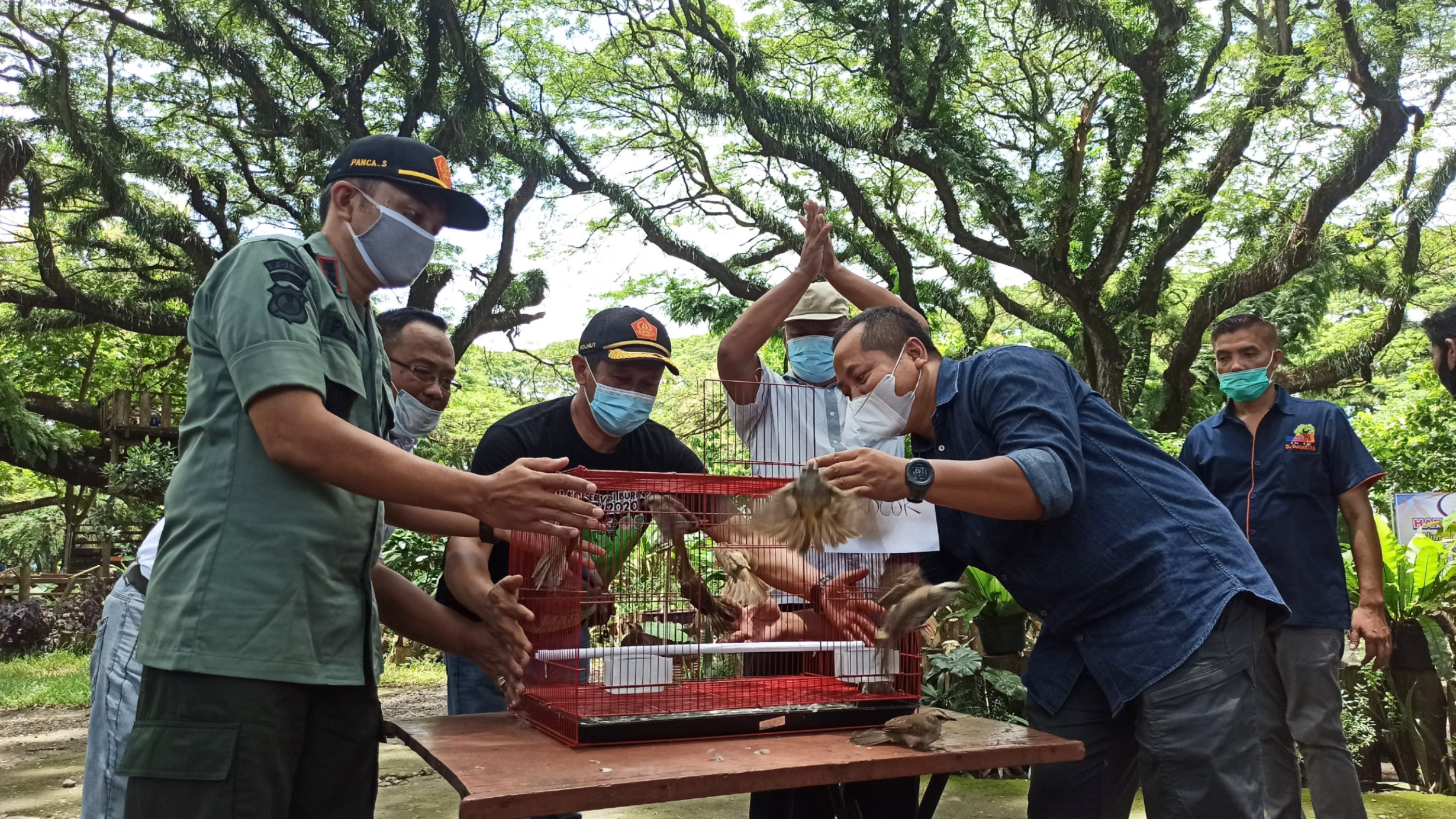 Ratusan burung Trucuk dan Perenjak dilepaskan di destinasi wisata De Djawatan. (Foto: Muh Hujaini/Ngopibareng.id)