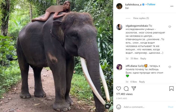 Pose telanjang Alesya Kafelnikova demi perlindungan hewan. (Foto: Instagram)