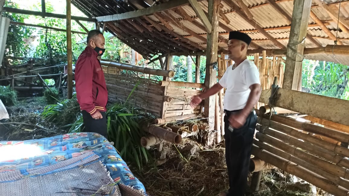 Petugas Polsek Glagah mengecek kandang tempat korban mengakhiri hidupnya dengan cara gantung diri (foto:istimewa)