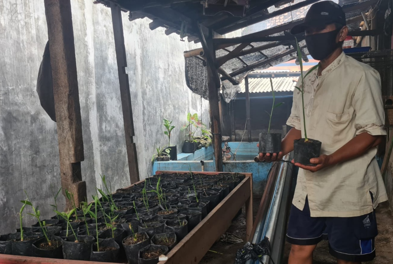 Warga memanfaatkan keterbatasan lahan untuk menanam jahe dengan media polybag. (Foto: Istimewa)