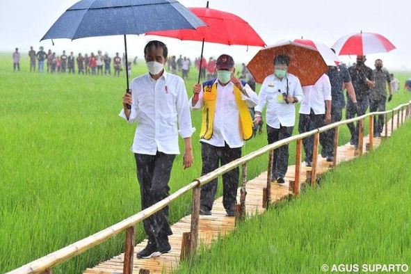 Presiden Joko Widodo (Jokowi) saat kunjungan kerja di Nusa Tenggara Timur (NTT). (Foto: Instagram @jokowi)