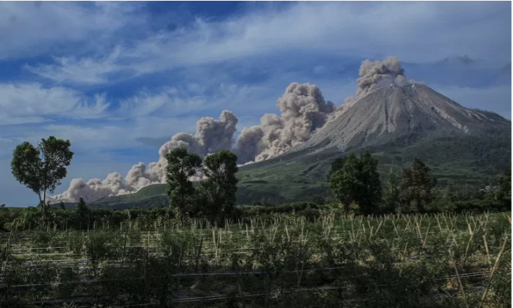 Gunung Sinabung menyemburkan material vulkanik saat erupsi di Desa Kuta Rakyat, Naman Teran, Karo, Sumatera Utara, Kamis (11/3/2021). Gunung Sinabung erupsi dengan tinggi kolom 3.000 meter di atas puncak. (Foto: Antara/Sastrawan Ginting)