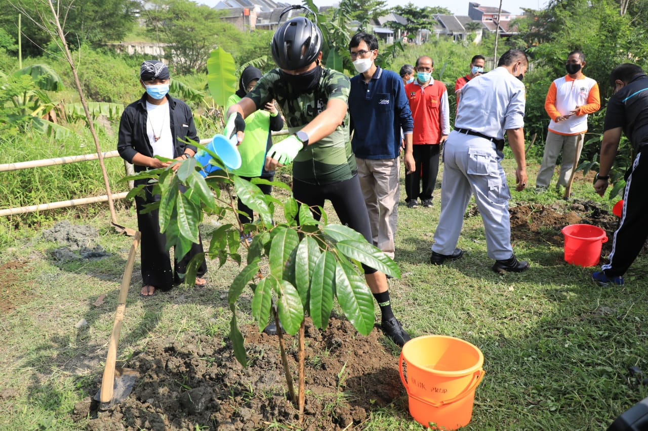 Ada 1.000 bibit pohon yang ditanam warga bersama Ganjar Pranowo di Kampung Jawi. (Foto: Istimewa)