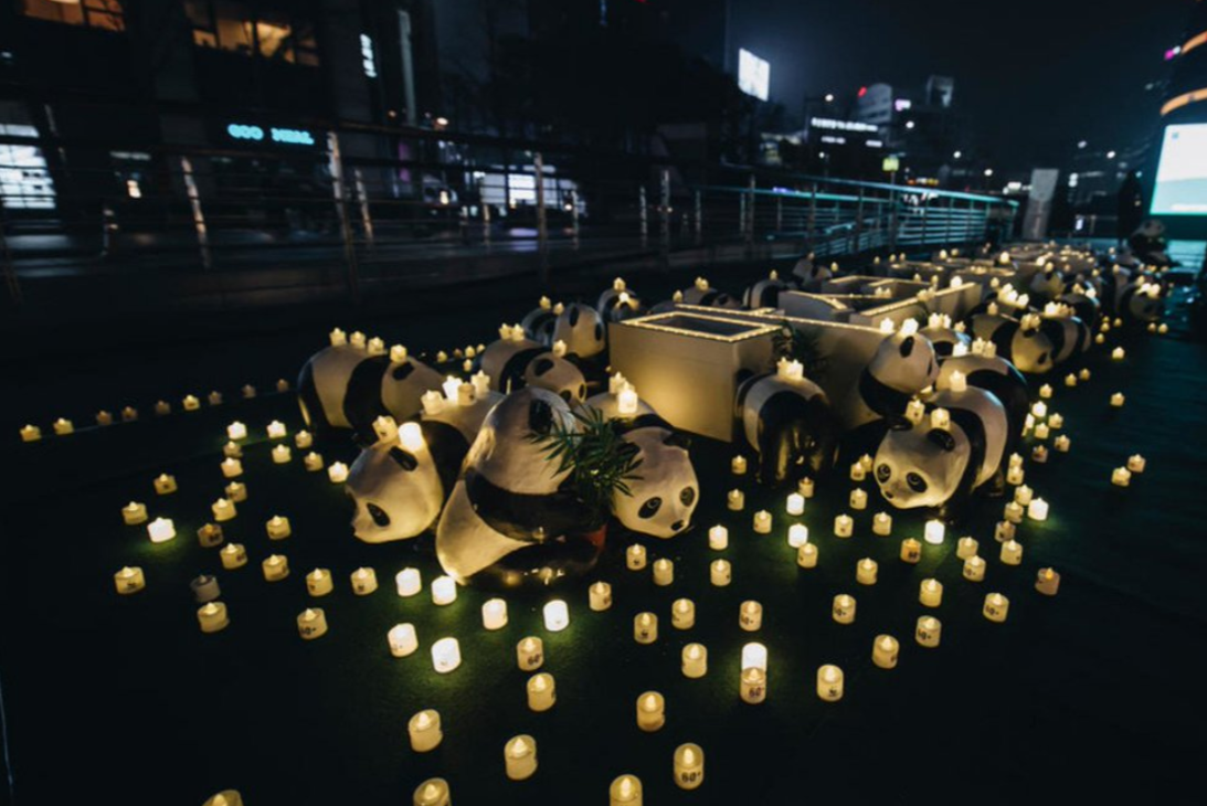 Erath Hour diperingati dengan memadamkan lampu selama 60 menit, pada Sabtu 27 Maret 2021. (Foto: Twitter)