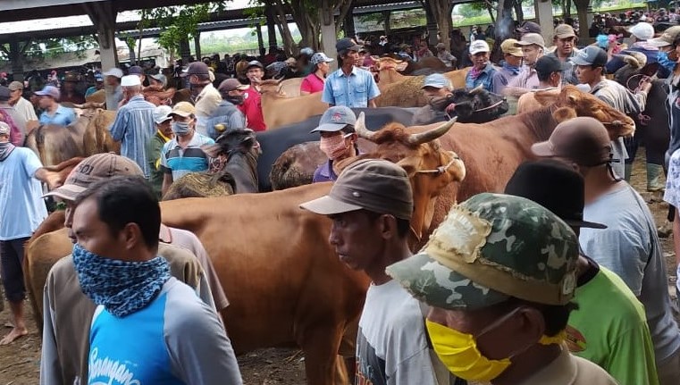 Suasana Pasar Hewan di Kelurahan Jrebeng Kidul, Kecamatan Wonoasih, Kota Probolinggo. (Foto: Ikhsan Mahmudi/Ngopibareng.id)