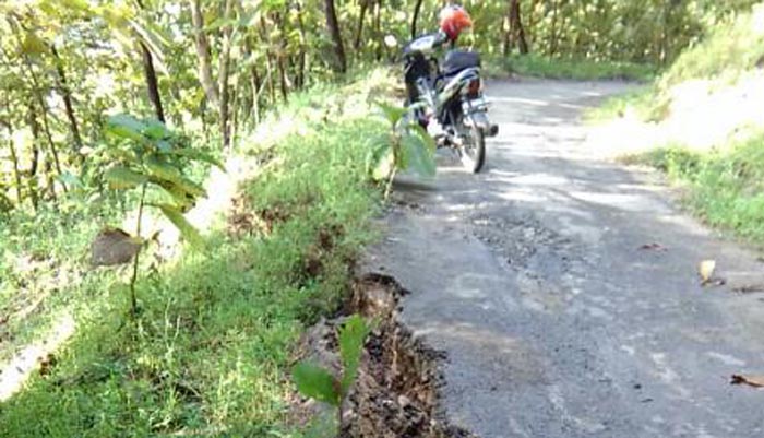 Retakan tanah di bukit Badegan, Ponorogo