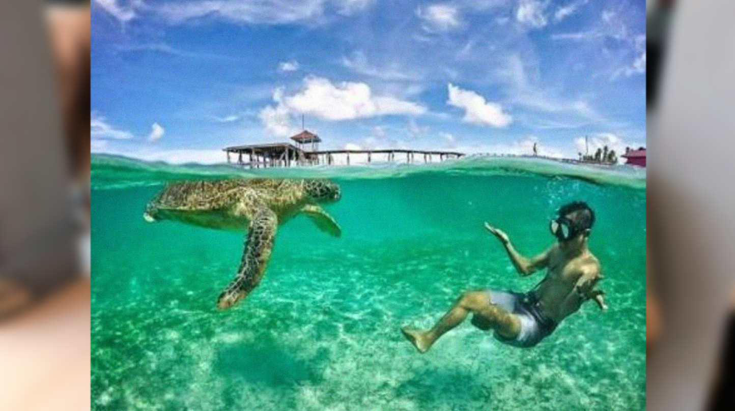 Begini bisa dicoba di Derawan, mau? foto:istimewa