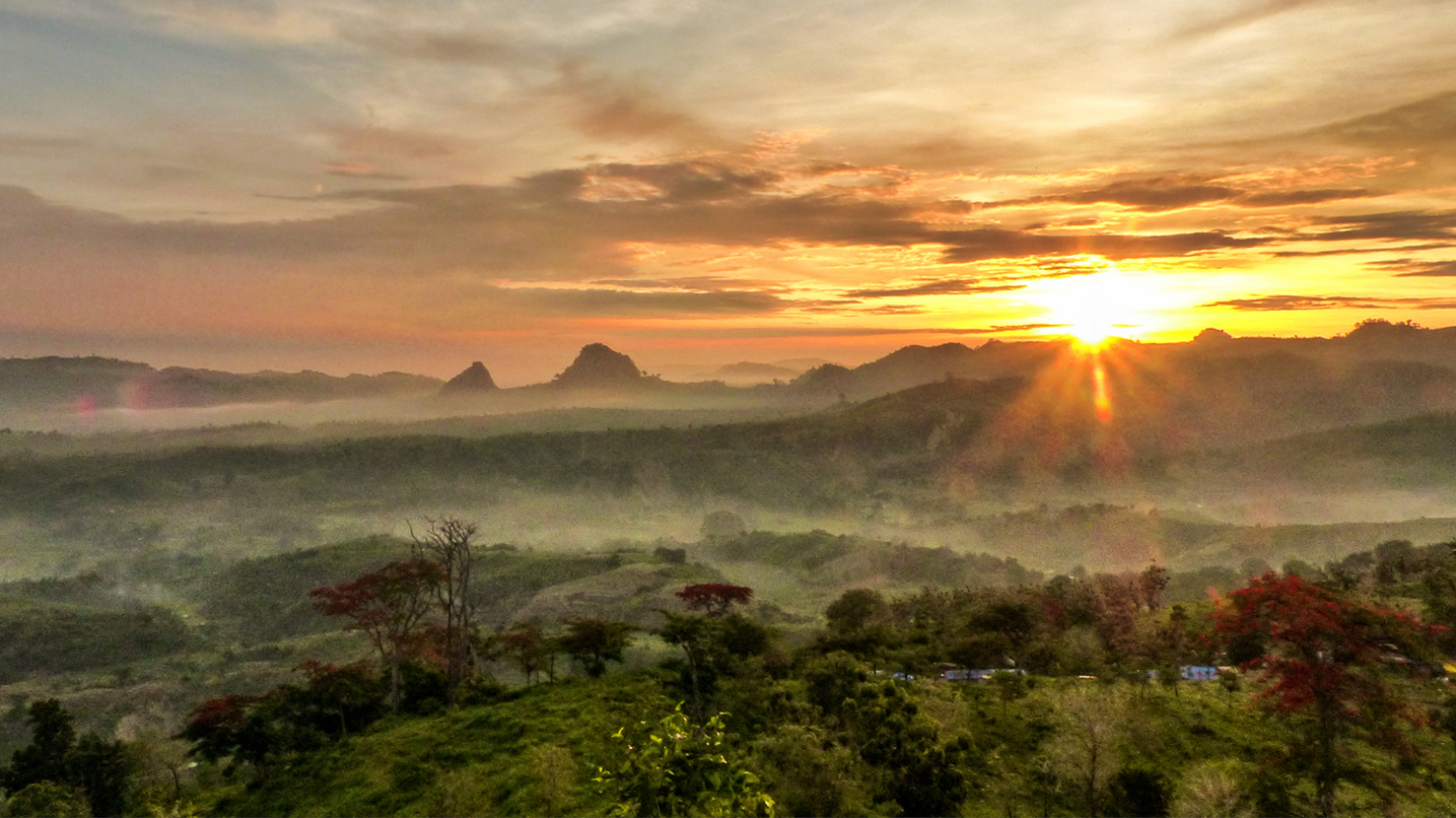 Negeri Atas Angin, pesona Bojonegoro yang sangat instagramable. foto:jalanwisata.id