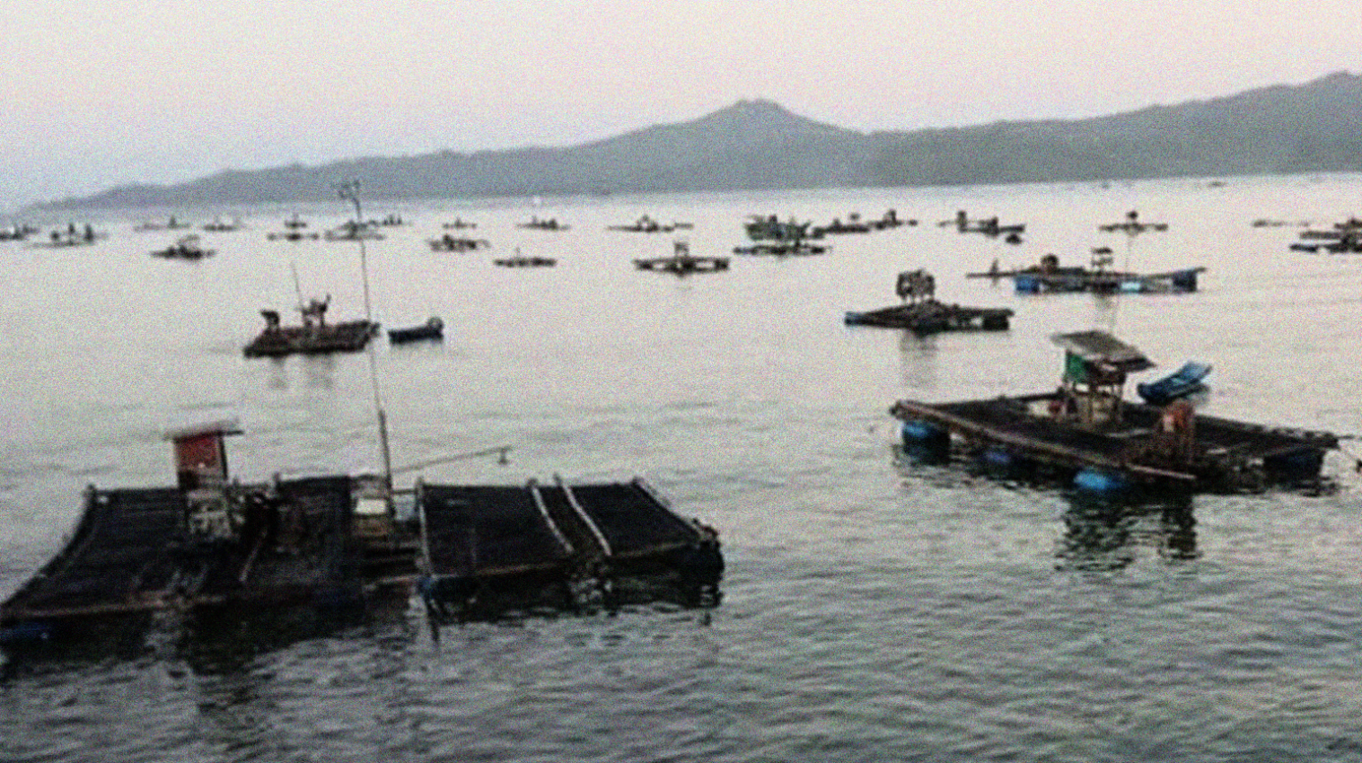 Keramba apung benur bertebaran di Pantai Popoh, Tulungagung, Jawa Timur. (Foto:Istimewa)