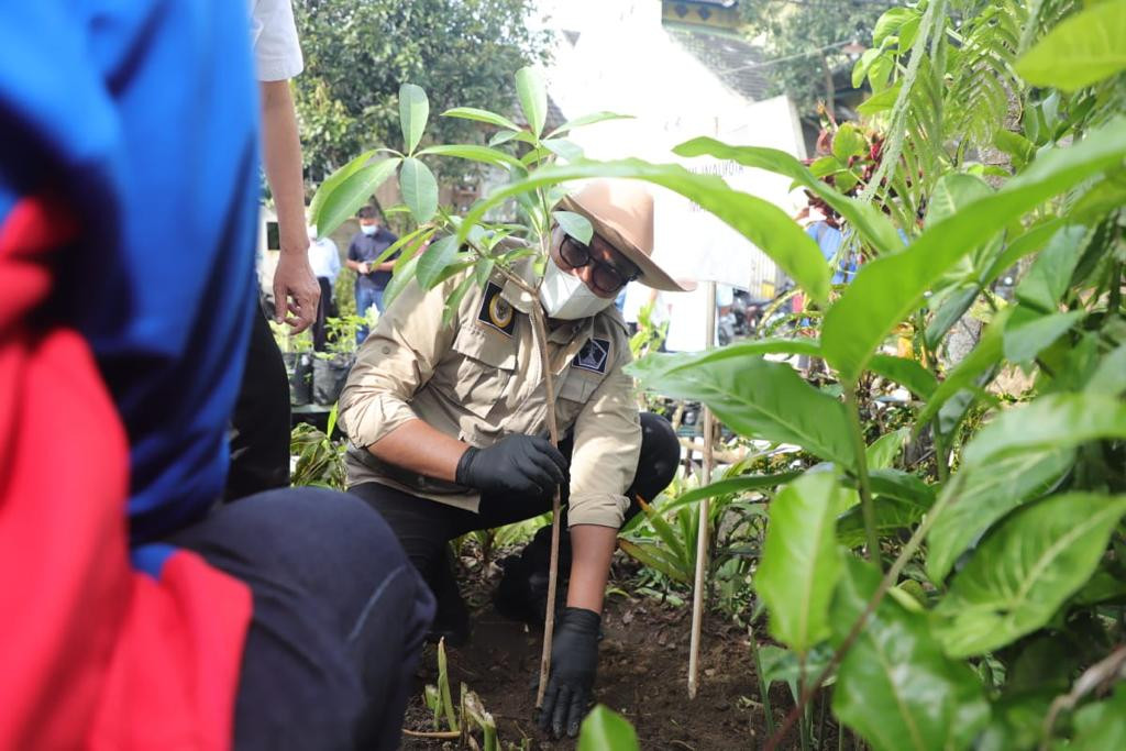 Wakil Walikota Malang, Sofyan Edi Jarwoko saat menanam bibit Pohon Pule (Foto: istimewa)