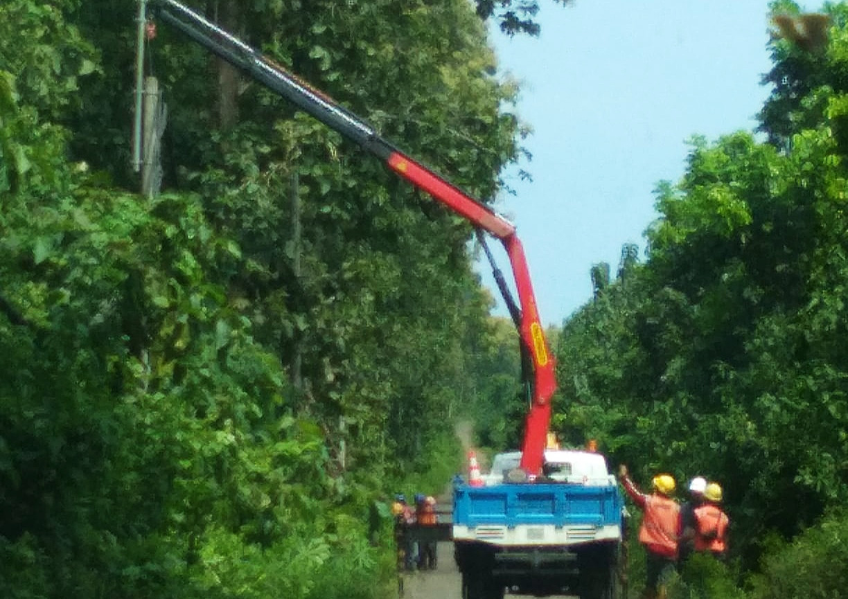 Pemasangan tiang listrik yang yang sempat tumbang akibat angin kencang di TNAP (Foto: istimewa)