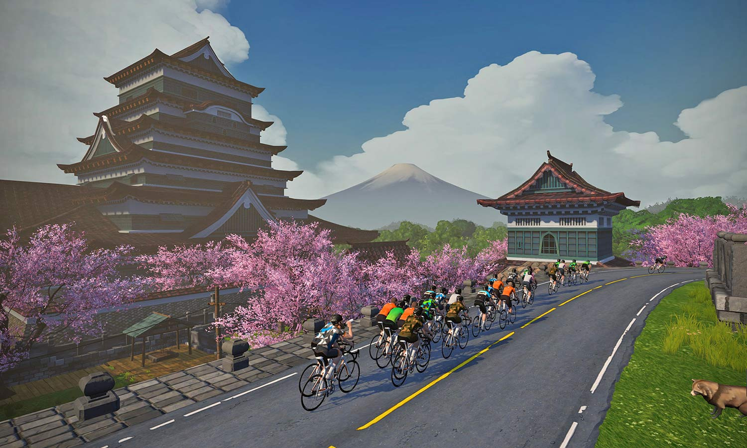 Rute baru di Zwift, Yumezi yang bernuansa Jepang total berjarak 87 km. (Foto: Istimewa)