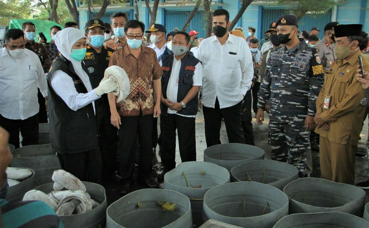 Gubernur Khofifah Indar Parawansa (memegang ikan beku) saat meninjau Pelabuhan Perikanan Pantai (PPP) Mayangan, Kota Probolinggo. (Foto: Ikhsan Mahmudi/Ngopibareng.id)