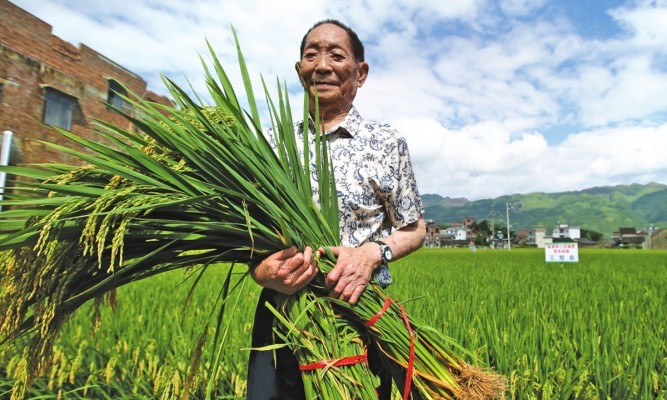 Andreas Longping, Bapak Hibrida dsri China. Image from Disway.