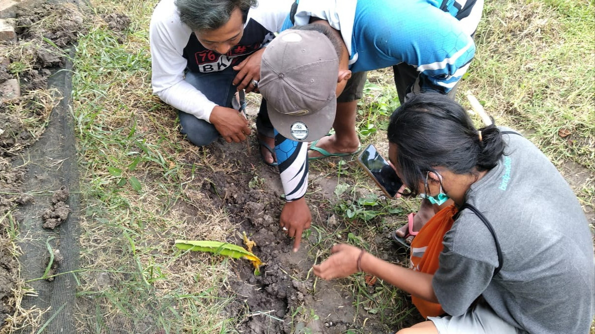 Warga melihat jejak yang diduga jejak pemangsa dari domba yang mati misterius (foto:istimewa)