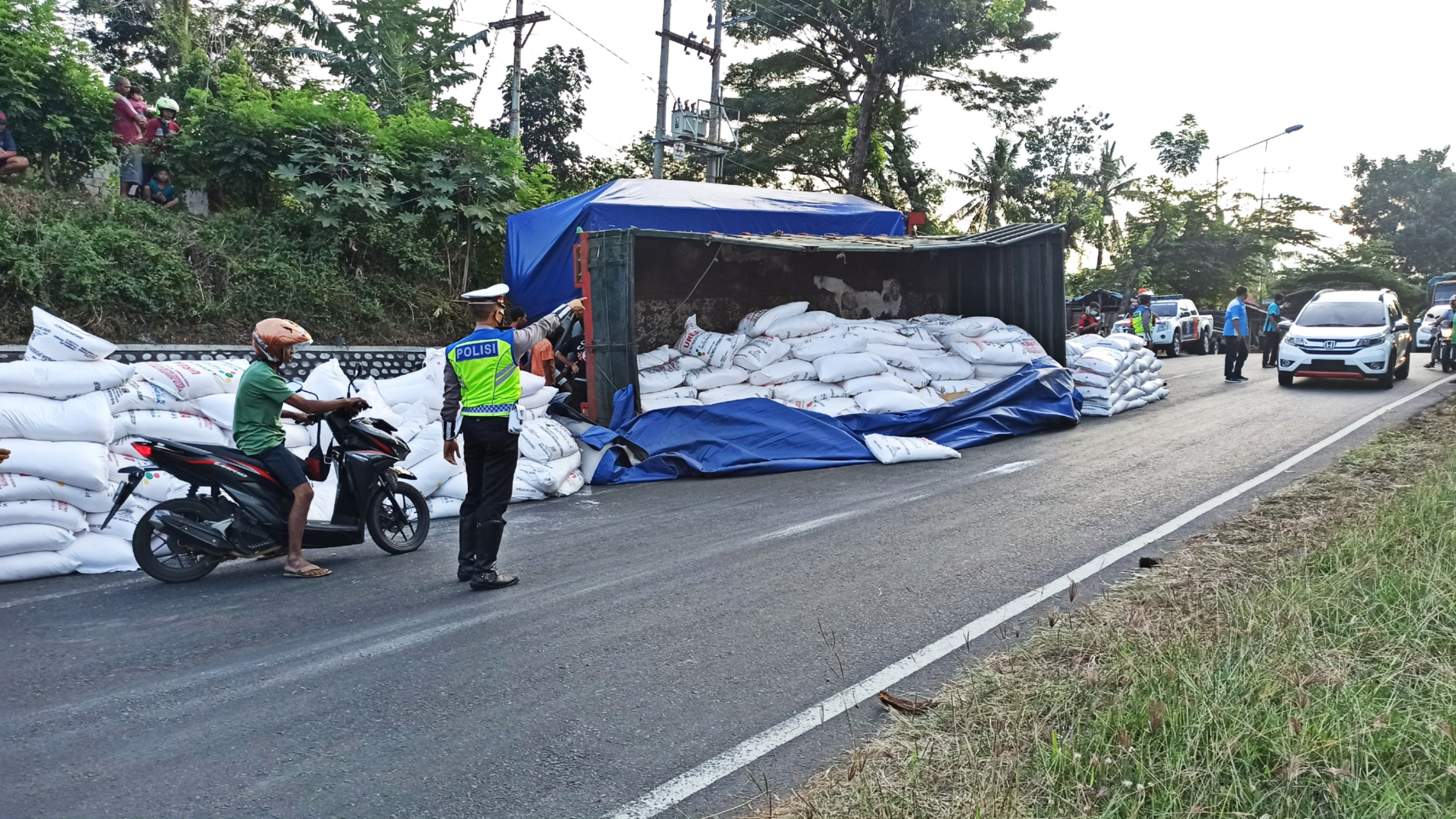 Petugas mengatur lalu lintas di lokasi truk gandeng bermuatan pupuk urea bersubsidi yang terguling (foto:Muh Hujaini/Ngopibareng.id)