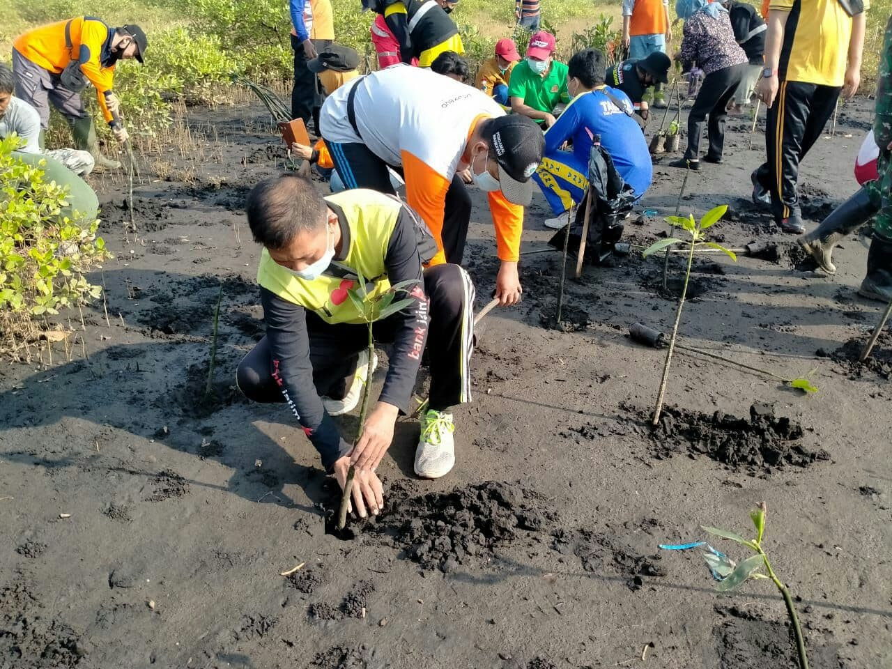 Anggota Forum Pengurangan Risiko Bencaba (FPRB) Kota Probolinggo menanam mangrove di Pantai Permata. (Foto: Ikhsan Mahmudi/Ngopibareng.id)