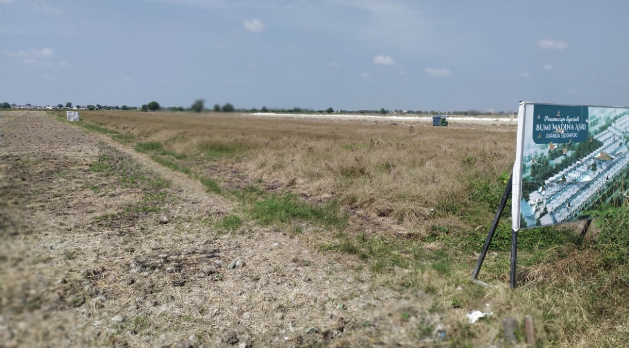 Tanah yang dijanjikan PT ITG untuk Smartkos di Sidoarjo, Jawa Timur. (Foto: Andhi/Ngopibareng.id)