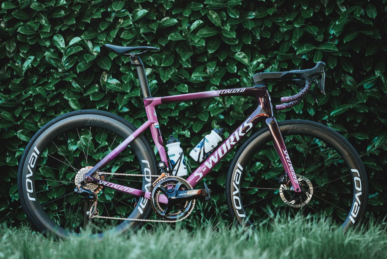 Specialized S-Works Tarmac SL7 Peter Sagan edisi spesial maglia ciclamino GIro d'Italia. (Foto: Istimewa)