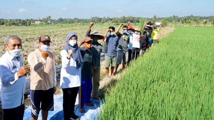 Banyuwangi terus mengoptimalkan layanan untuk para petani. (Foto: Istimewa)