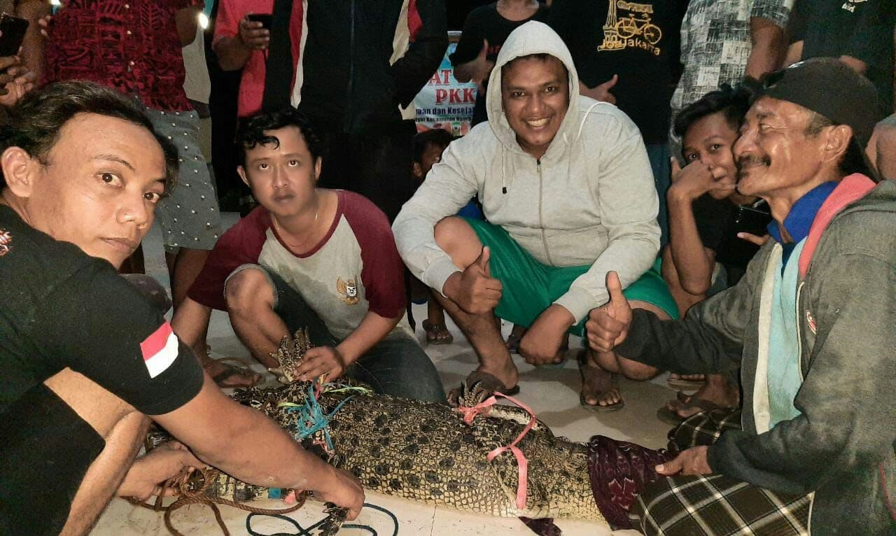 Warga tangkap buaya di Sungai Sadar, Mojokerto. (Foto: istimewa)