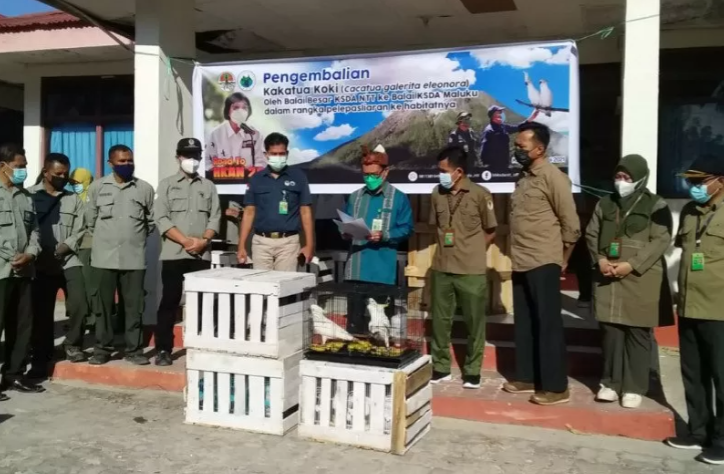 Seremoni pelepasliarkan 23 Kakaktua Koki dari penyerahan masyarakat di wilayah Jawa Tengah. (Foto: Istimewa)