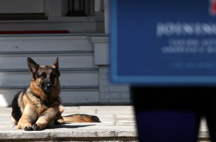 Anjing Presiden Joe Biden, Champ, mati. Presiden Taiwan Tsai Ing-wen sampaikan duka. (Foto: Nrp)