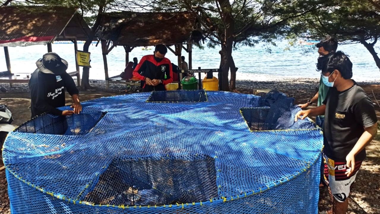 Para nelayan sedang menyulam keramba untuk budidaya lobster (Foto: Muh Hujaini/Ngopibareng.id)