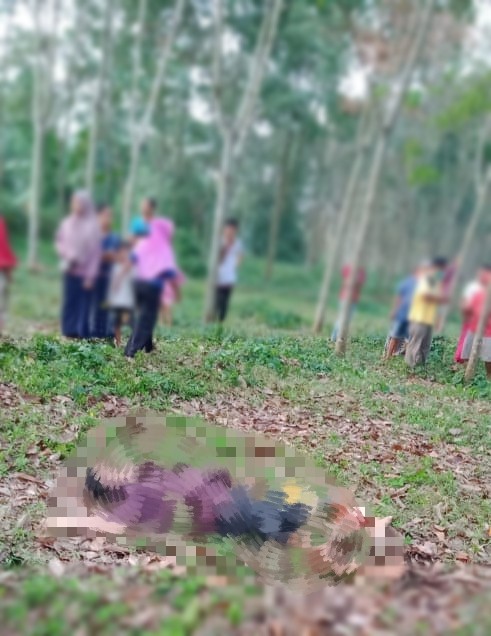 Mayat Sy saat ditemukan di kebun karet (Foto: Istimewa)